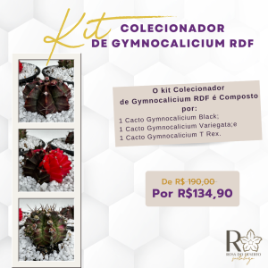 Kit Colecionador de Gymnocalicium RDF