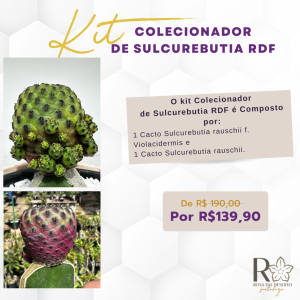 Kit Colecionador de Sulcurebutia RDF