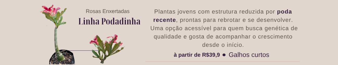 Podadinhas