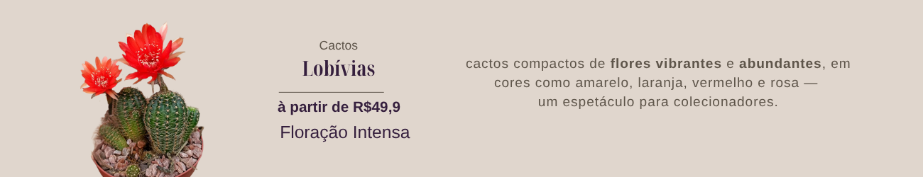 Lobivias