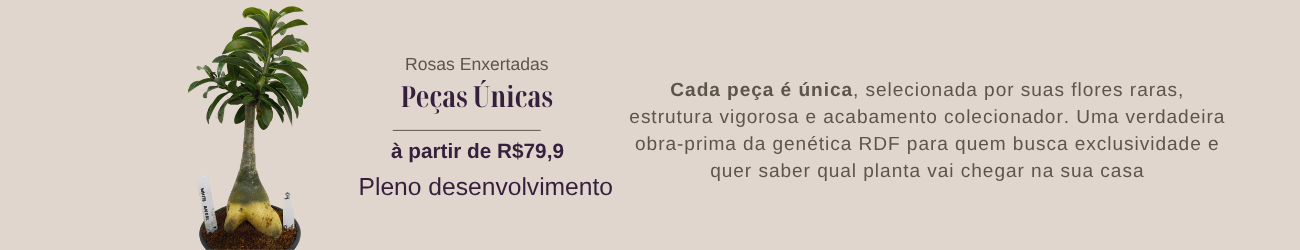 Peças Únicas