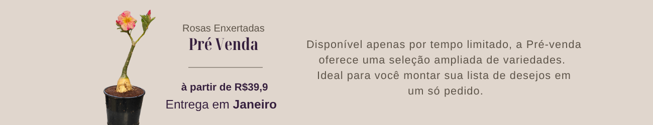 Pré Venda RDF.